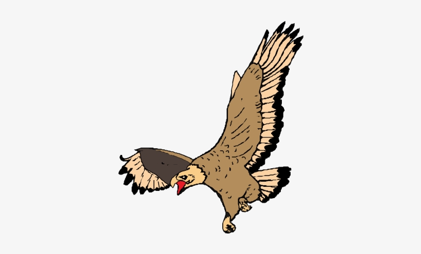 Bald Eagle Transprent Png Free Download - Desenho De Aguia Voando, transparent png download