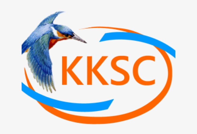 Kingfisher Clipart Transparent - Seabird, transparent png download