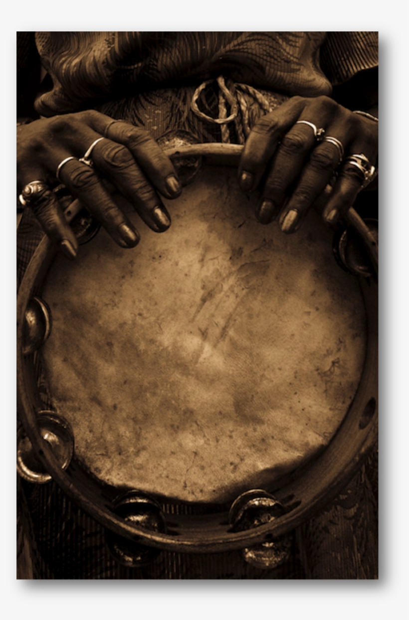 Tam - Circle, transparent png download