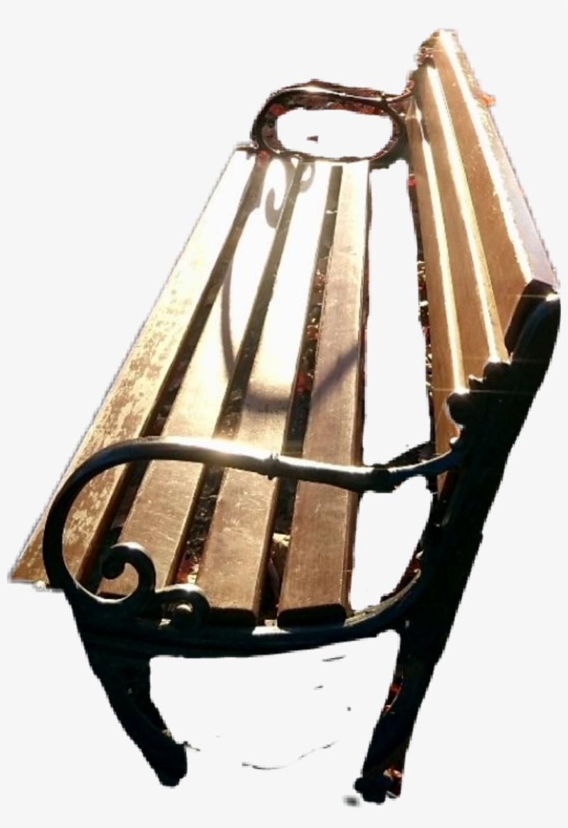 Report Abuse - Wood, transparent png download