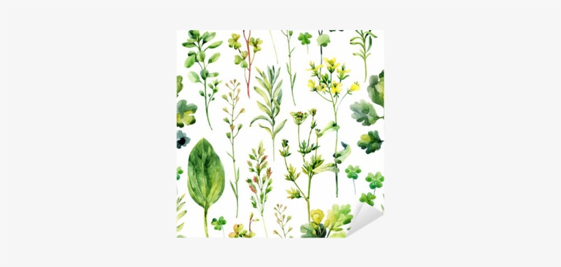 Watercolor Meadow Weeds And Herbs Seamless Pattern - Tapeta W Zioła, transparent png download