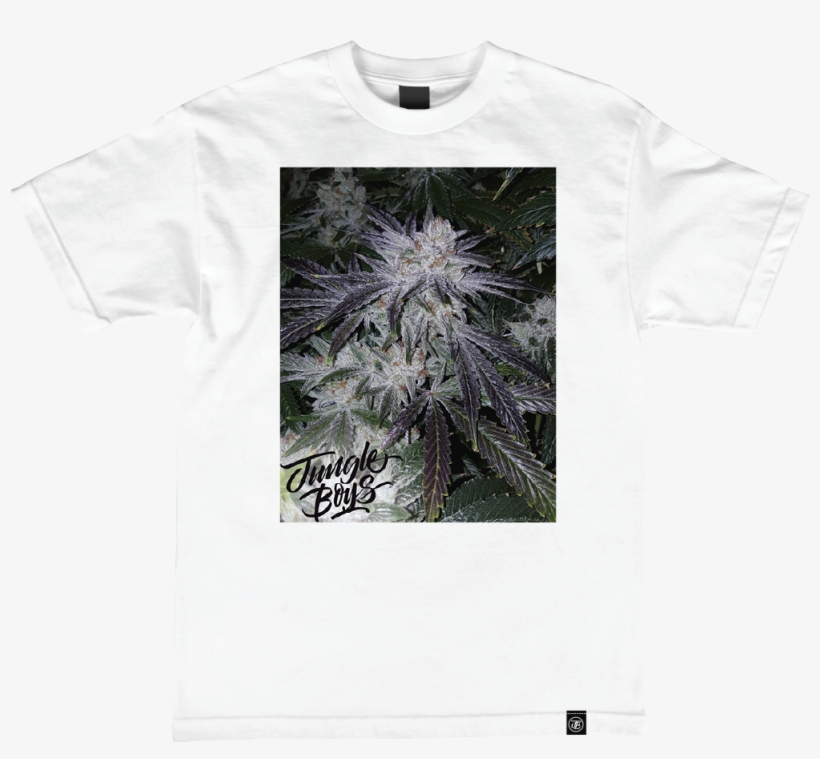 Flowhtf, transparent png download