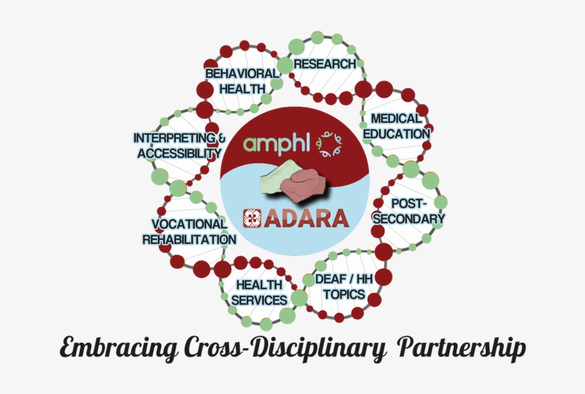 Picture - 2019 Adara-amphl Conference, transparent png download