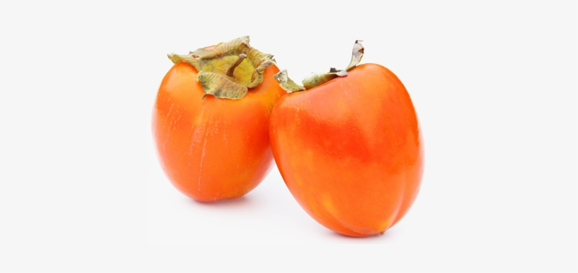 Fruta De Octubre - Pueden Comer Ciruela Los Perros, transparent png download