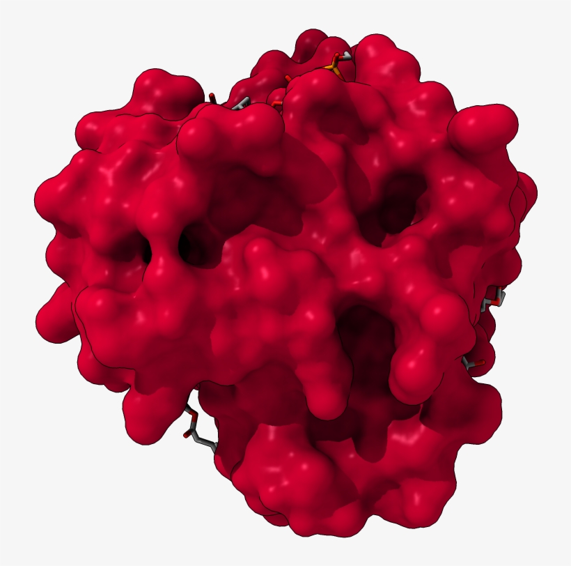Structure Of Yeast Mitochondrial Adp/atp Carrier Isoform - Cockscomb, transparent png download