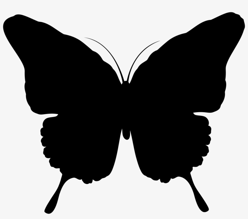 Download Butterfly Silhouette Butterfly Silhouette Png Transparent Png 2326x1946 Free Download On Nicepng