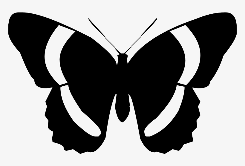 Butterfly Silhouette Clip Art Butterfly Silhouette Clip Art Free Transparent Png 900x500 Free Download On Nicepng
