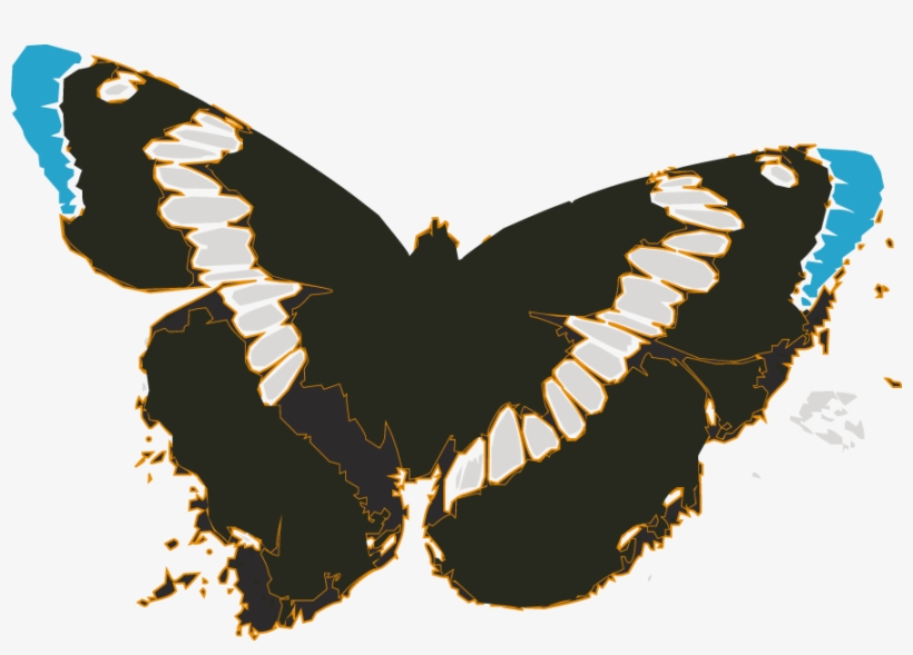 Free Vector Butterflies - Butterflies, transparent png download