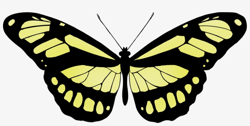 Monarch Butterfly Brush-footed Butterflies Silhouette - Butterfly, transparent png download