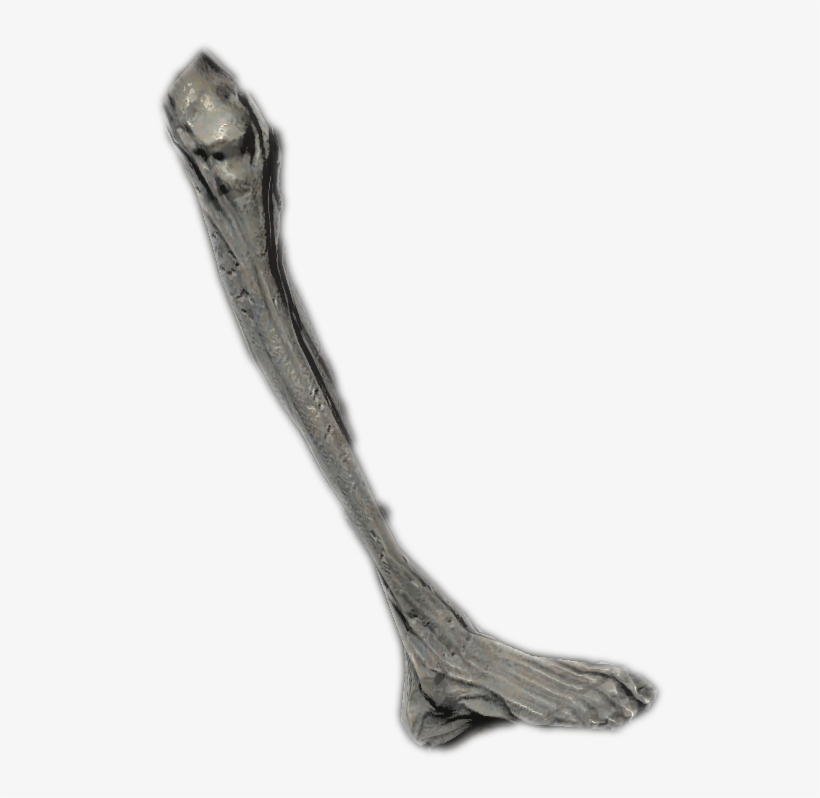 Ancient Vampire Leg - Sketch, transparent png download
