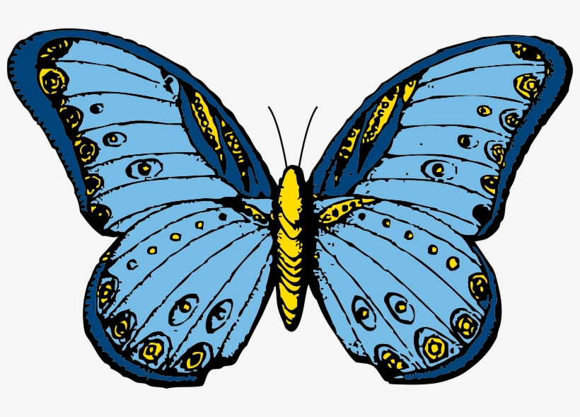 Free Butterfly - Custom Blue Butterfly Throw Blanket, transparent png download
