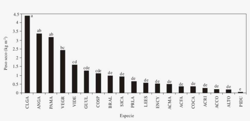 Letras Iguales En La Parte Superior De Cada Barra Señalan - Information, transparent png download