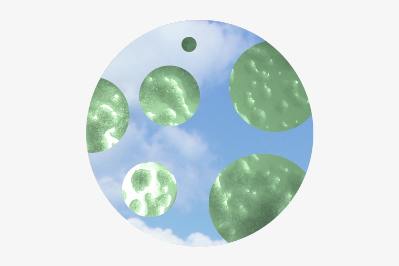 T Linkoping Sweden Projectdesign - Circle, transparent png download