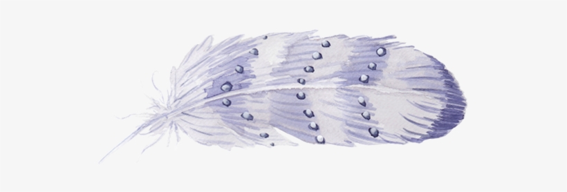 Thanks For Watching All My Illustrations Are Available - Camomile, transparent png download