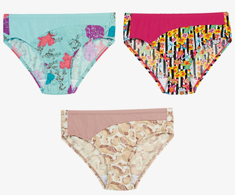 Larina 5 In 1 Midi Pack Php575 - Briefs, transparent png download