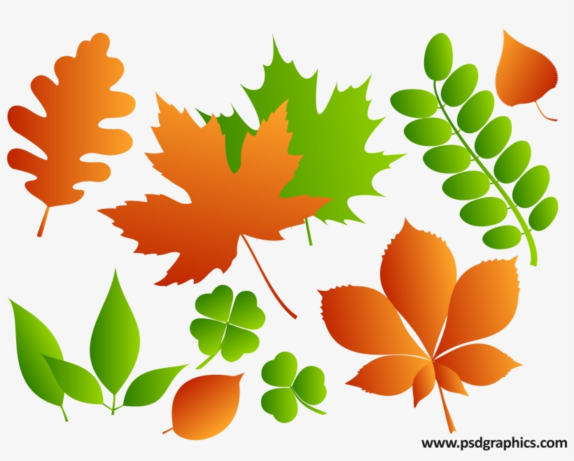 Png Leaves - Vector Psd Atau Png, transparent png download