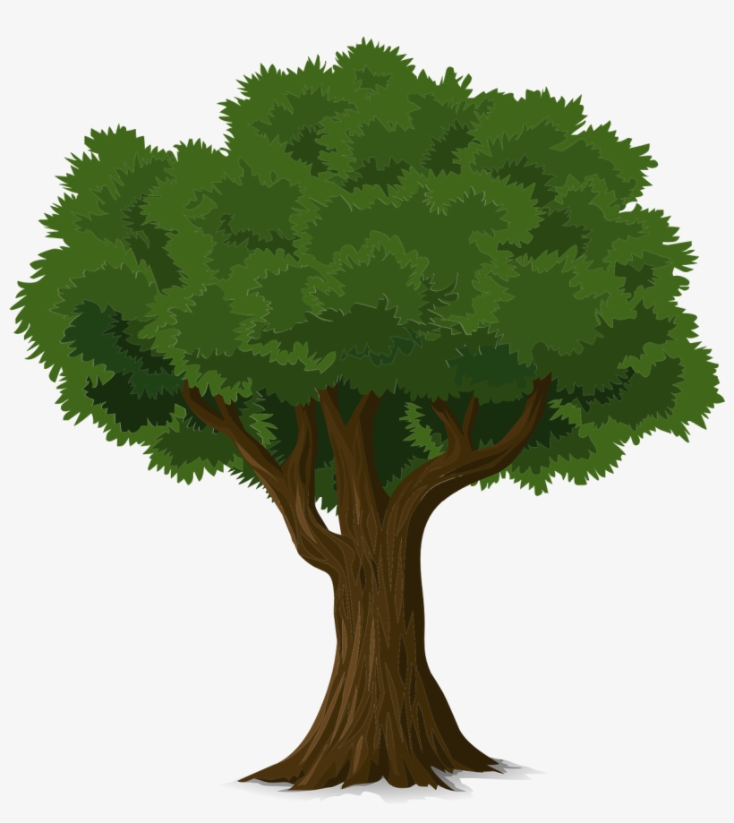 Meet Smokey The Bear - Koh Fit Stress Ball With Hand Exercise Ebook + Natural, transparent png download