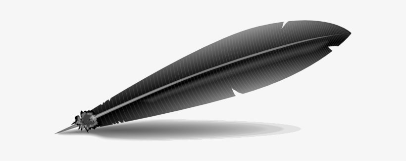 Black Feather Cartoon, transparent png download