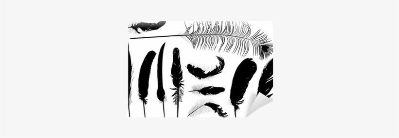 Eleven Black Feathers On White Illustration Wall Mural - Czarno Biały Rysunek Pióro, transparent png download