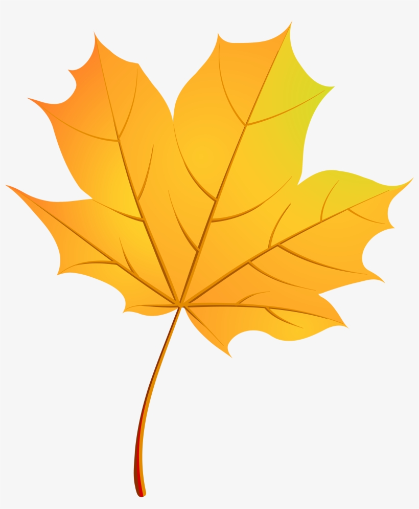 Leaves Vector Gold Pattern Transprent Png Free - Autumn Leaf Vector Free  Transparent PNG - 3236x3770 - Free Download on NicePNG, image size:820x995