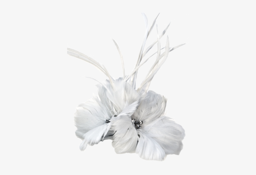 Feathers - Argentina Collection - White - Feather Accent Piece - Argentina Collection - White, transparent png download