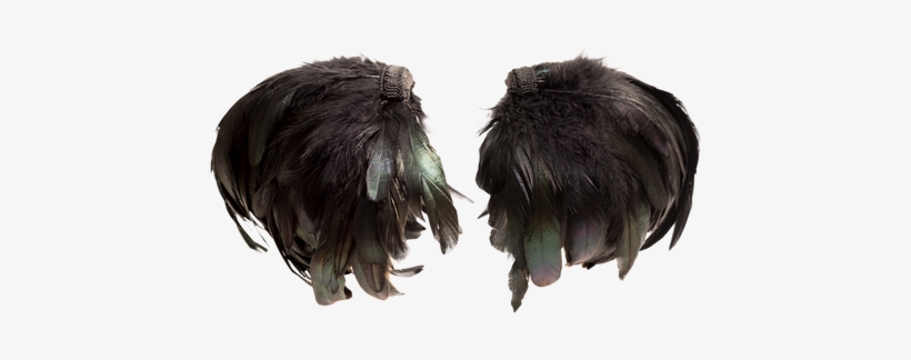 Set Of Feather Shoulder Cuff Pieces With Black Feathers - Pigeons And Doves, transparent png download