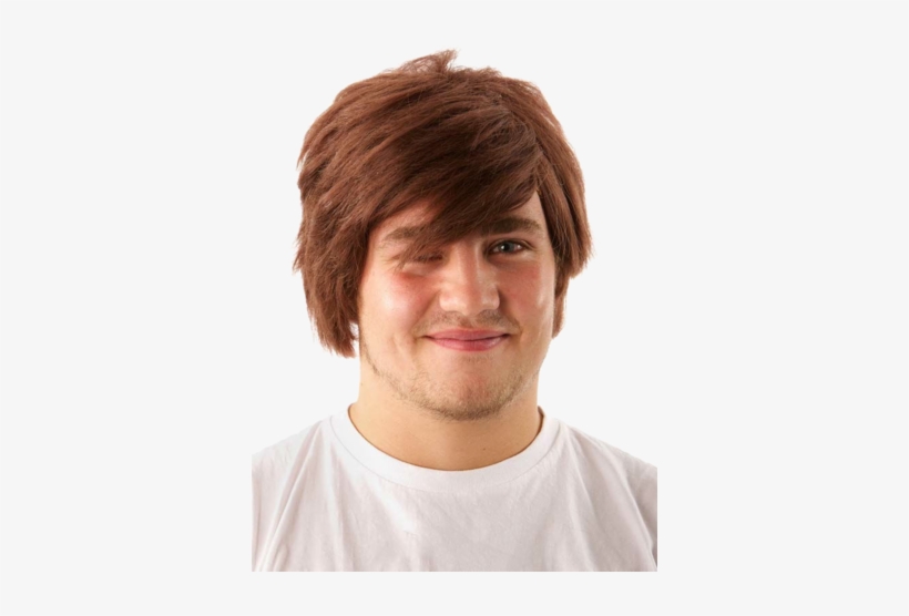 Jokers Masquerade Men's Brown Wig, transparent png download