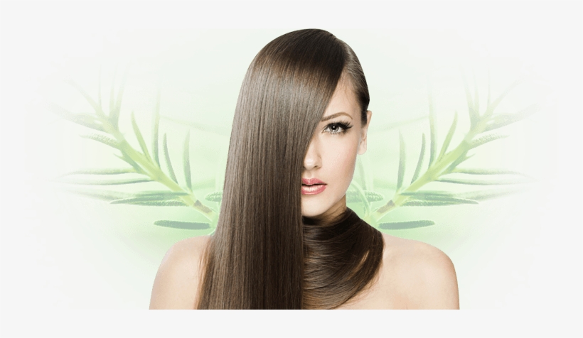 Footer Lady - Jocca Hair Straightening Brush, Black, transparent png download