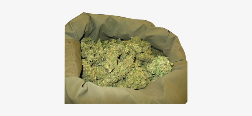 Loud Weed - Purple Haze In India, transparent png download