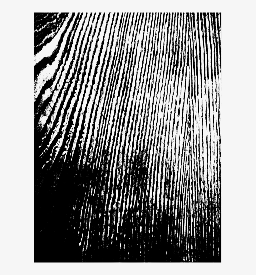 Medium Image - Monochrome, transparent png download