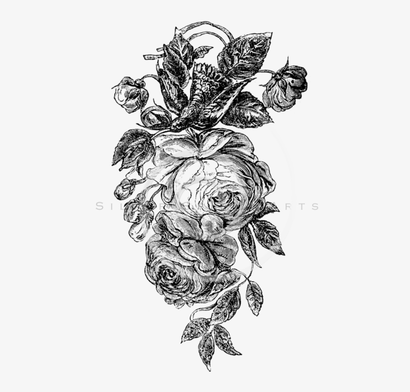 All Vintage Black And White Illustrations Png - Black And White Flowers Illustration Png, transparent png download