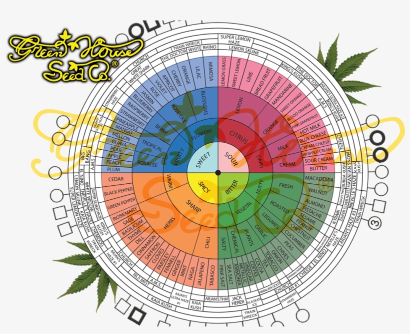Buy A Mixed Bag - Weed Flavors Chart, transparent png download