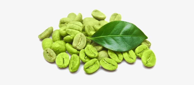 Green Coffee Bean Powder - Green Coffee Bean Png, transparent png download