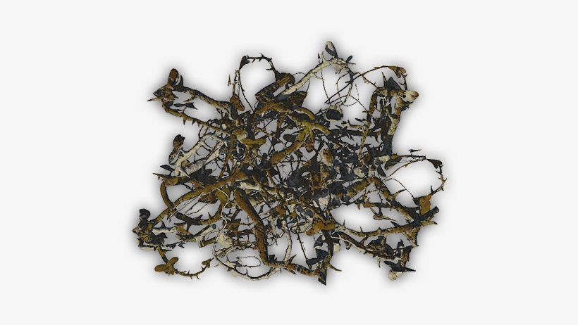 05 44 Vine1 Blu B 06 Feb 2009 - Thorns, Spines, And Prickles, transparent png download