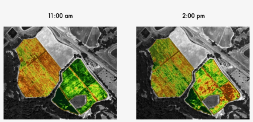 Ndvi Shows Different Results Just Three Hours Later - Ndvi Vs Evi, transparent png download