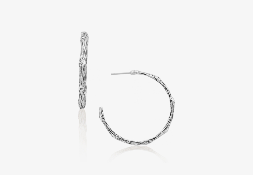 Vine Earhoops - Earrings, transparent png download