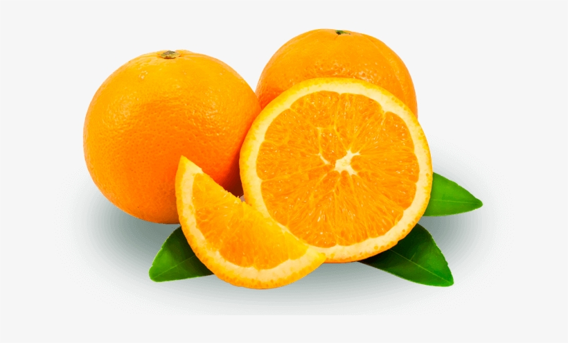 Sprimi2 Es Un Jugo De Naranja 100% Natural, Exprimido - Notebook Journal Dot-grid,graph,lined,blank No Lined, transparent png download