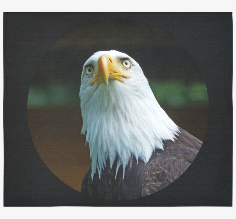 American Bald Eagle Head 001 06 Rd Cotton Linen Wall - Bald Eagle, transparent png download