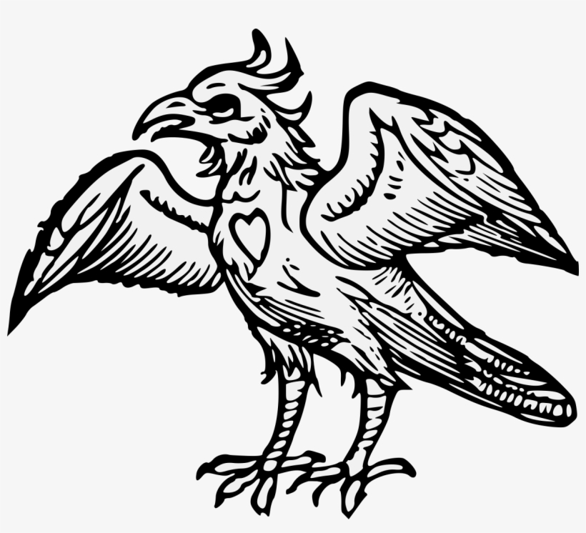 Details, Png - Buzzard, transparent png download