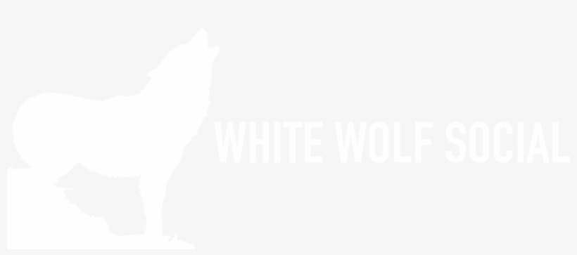 Cat, transparent png download