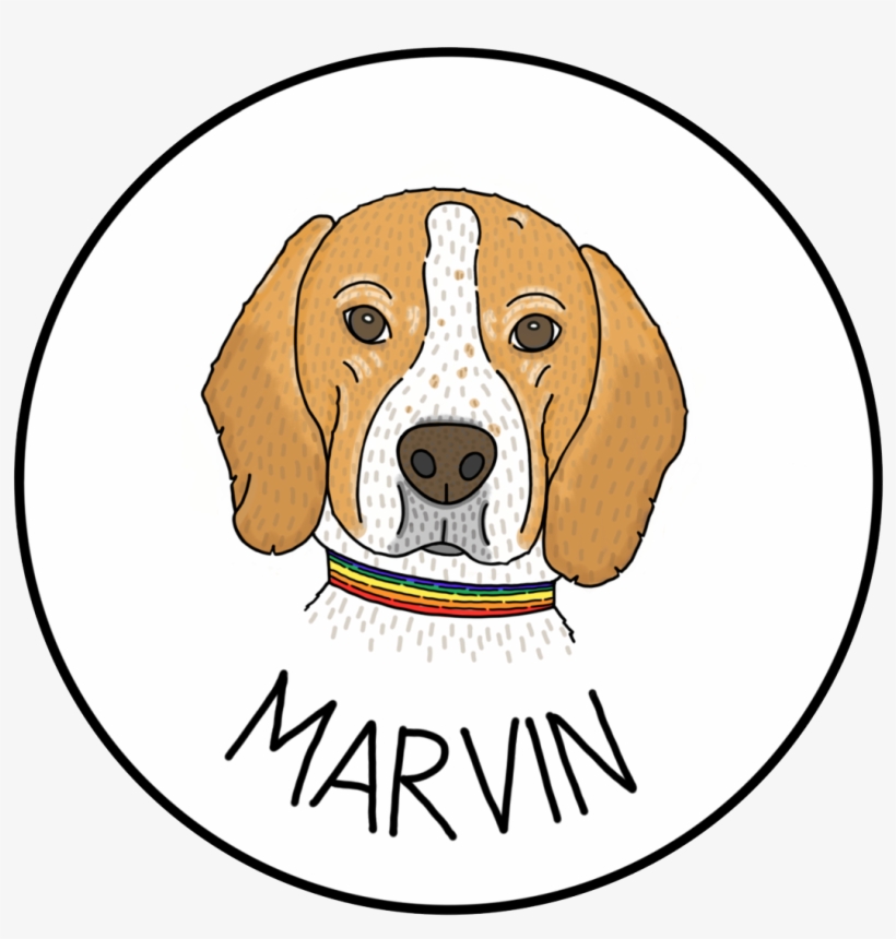 Dt Merseyside - Serbian Tricolour Hound, transparent png download