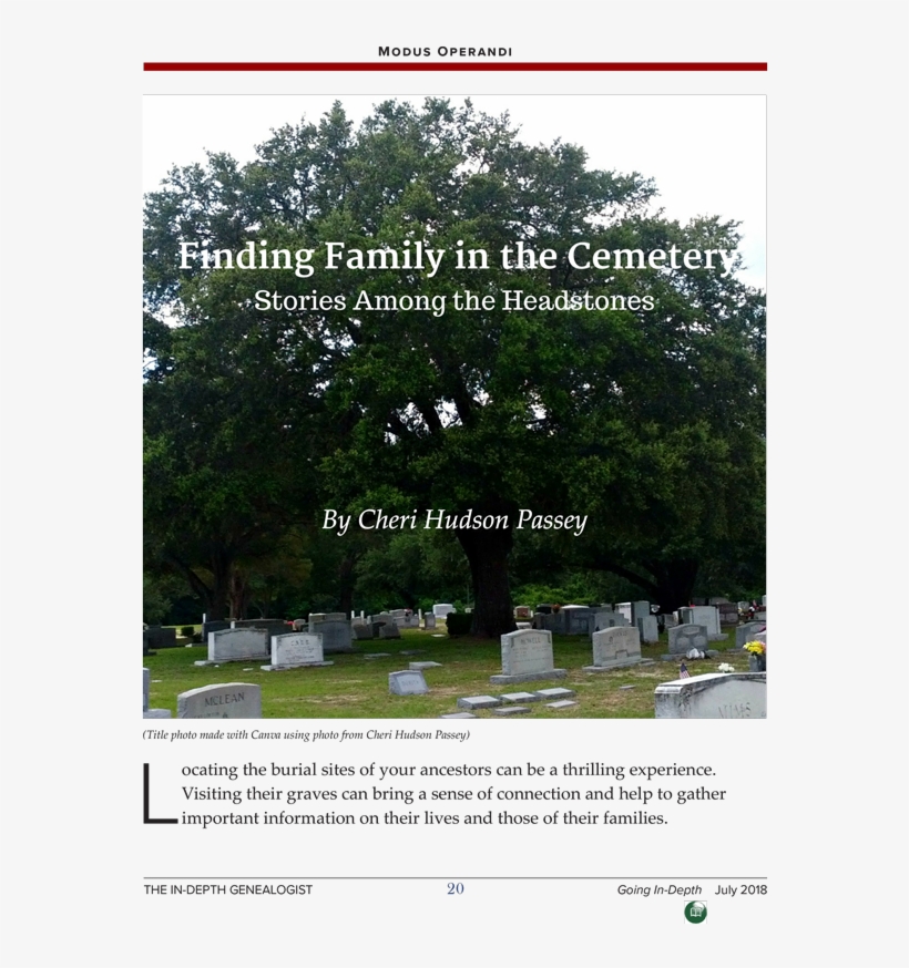 Pin By The In-depth Genealogist On Genealogy Tip Jar - Tree, transparent png download