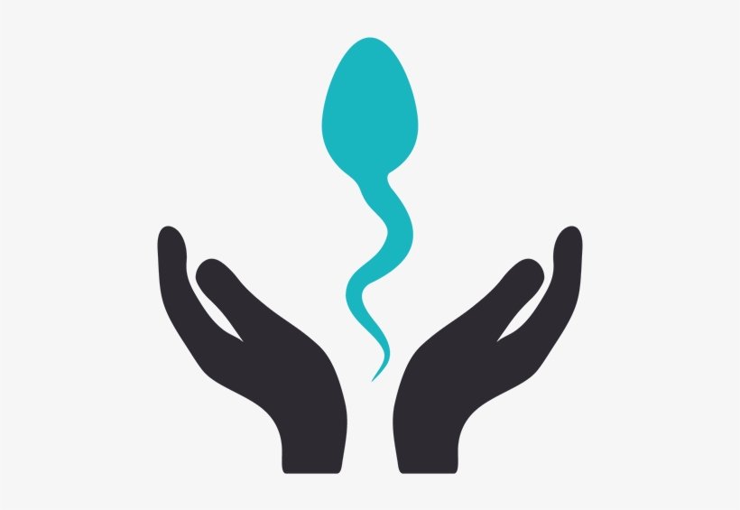 740 X 534 0 - Icon, transparent png download