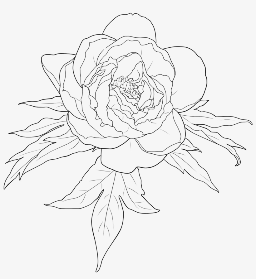 #flower #outline #floralwrap #draw #drawing #freetoedit - 動漫 人物 女 線 稿, transparent png download