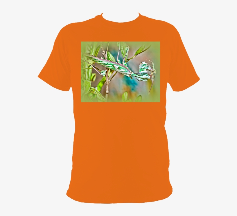 New-4 - T-shirt, transparent png download