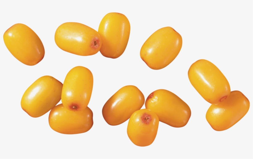 This Png File Is About Shrubs , Sea Buckthorn , Hippophae - Sea Buckthorn Png, transparent png download