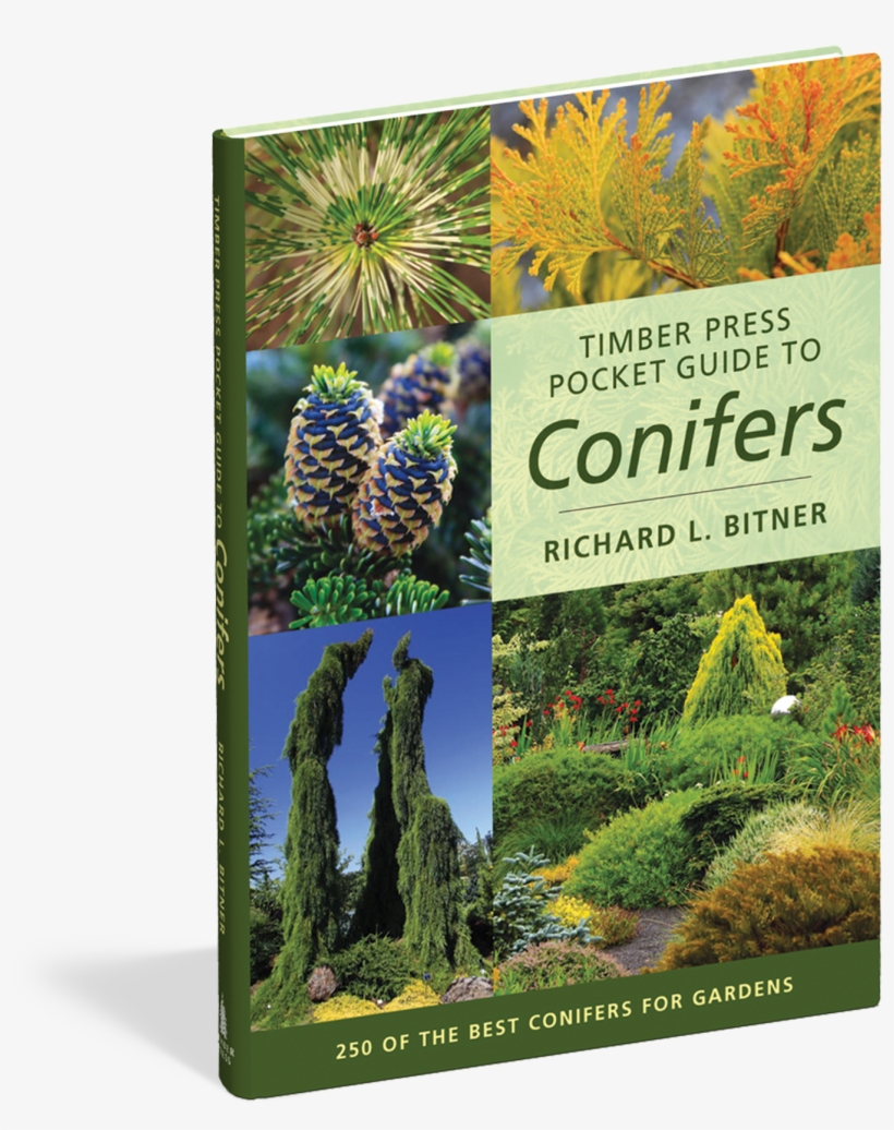 Timber Press Pocket Guide To Conifers, transparent png download