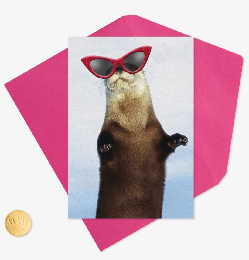 Otter Wearing Sunglasses Funny Valentine's Day - Funny Sunglasses, transparent png download