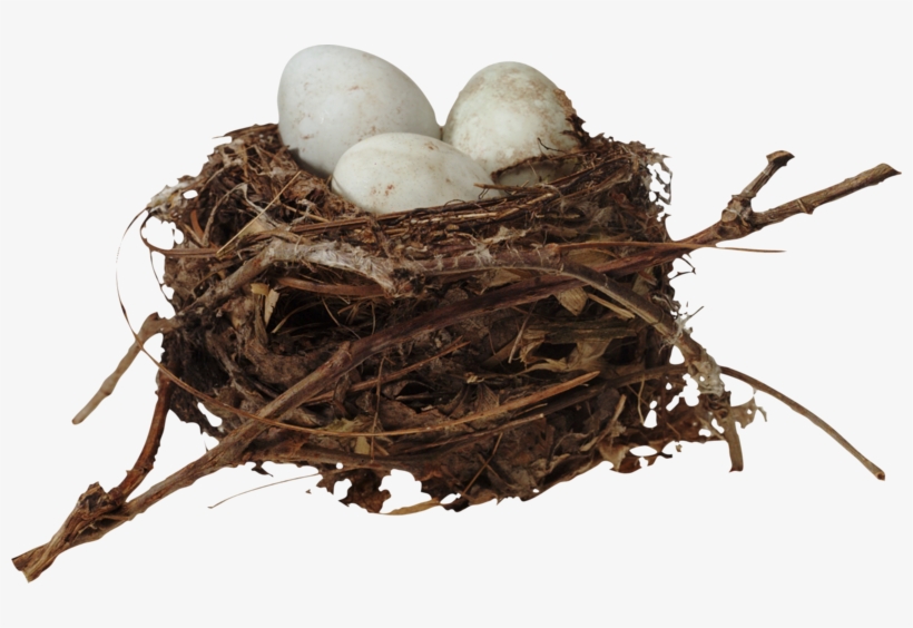 Nest Png, Download Png Image With Transparent Background, - Гнездо Картинка Png, transparent png download