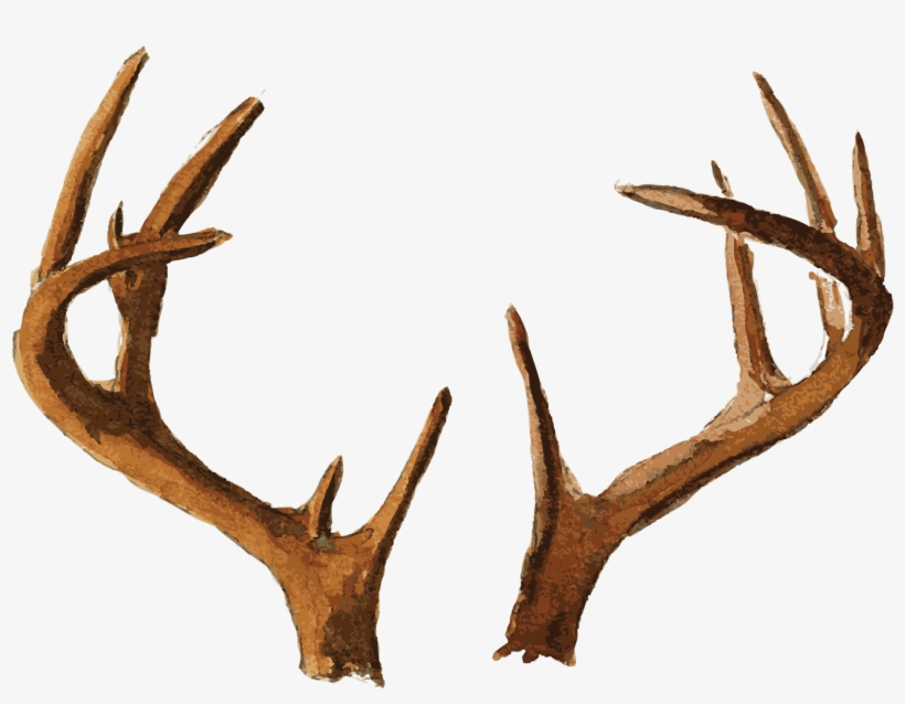 Lautomne Au Comptoir Des Anges - December Calendar Screensaver, transparent png download